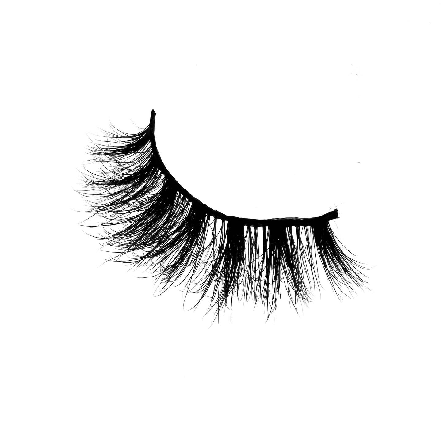 Leo- Strip Lash
