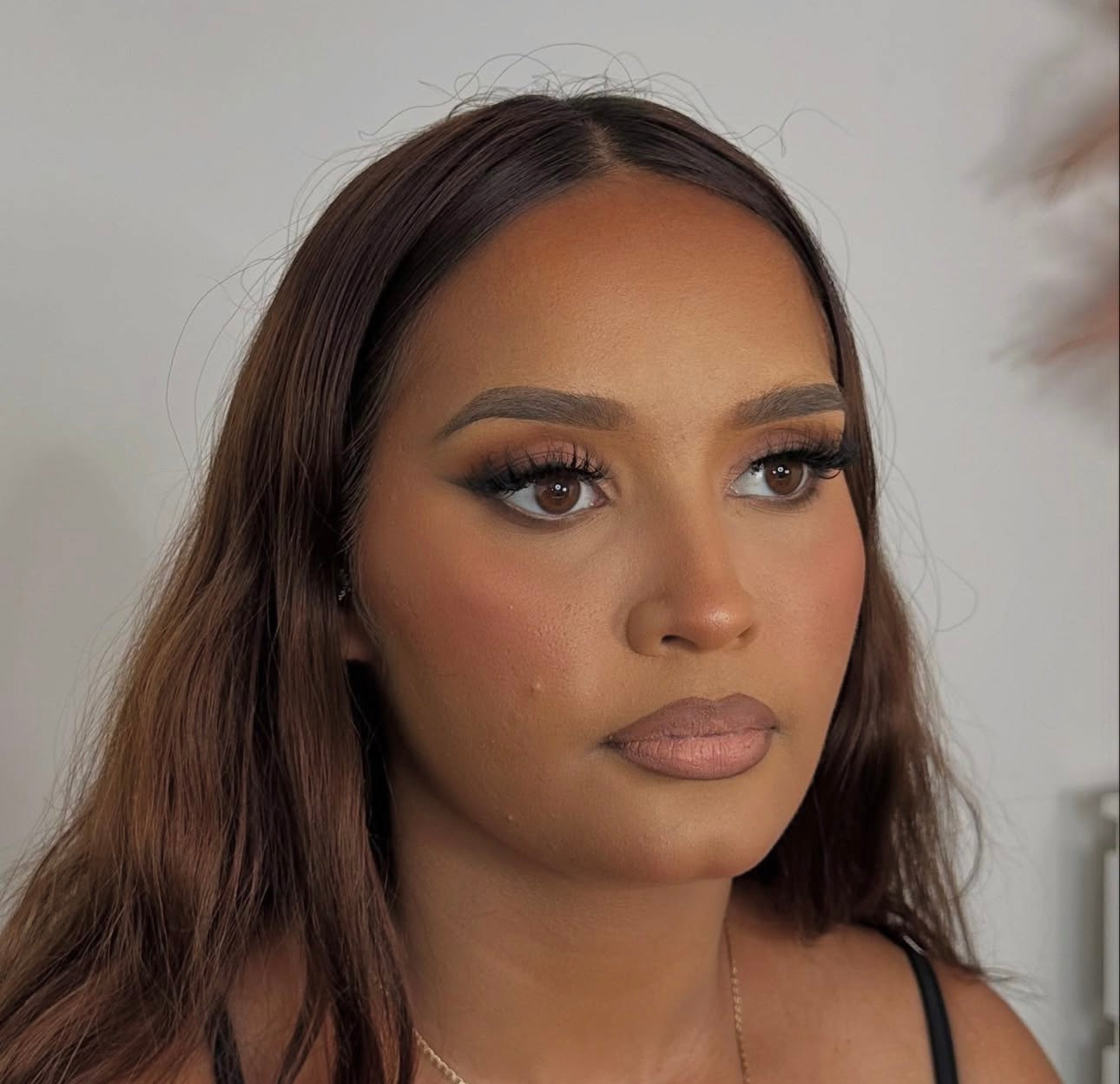 Plush- Strip Lash